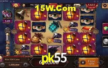 Experiência VIP pk55